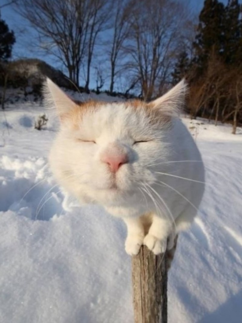 Скоро зима