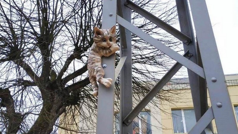Рысь на Столбах