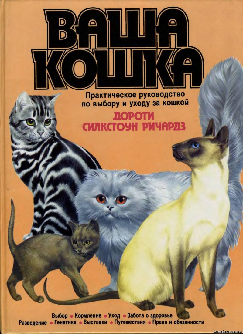 Д ваша. Ваша кошка Дороти Силкстоун Ричардз. Книга ваша кошка Дороти Силкстоун Ричардз. Книги про кошек. Энциклопедия. Кошки.