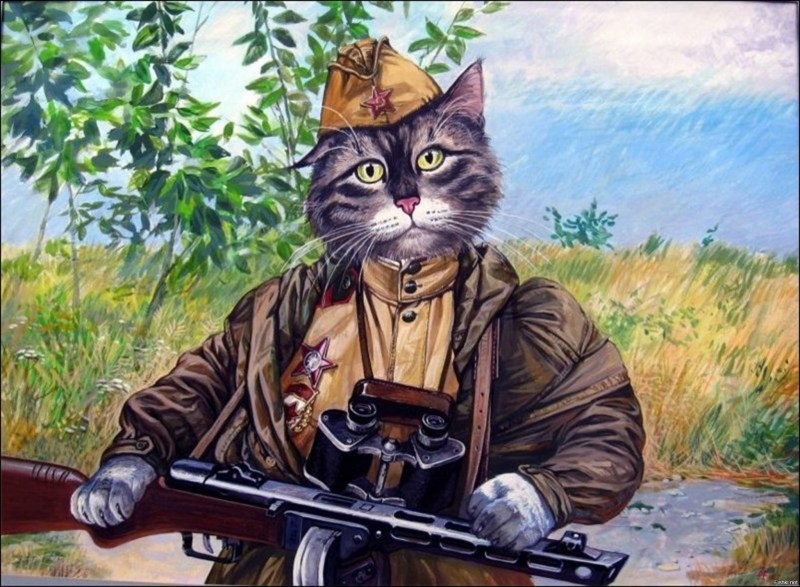 Коты художника Александра Завалий
