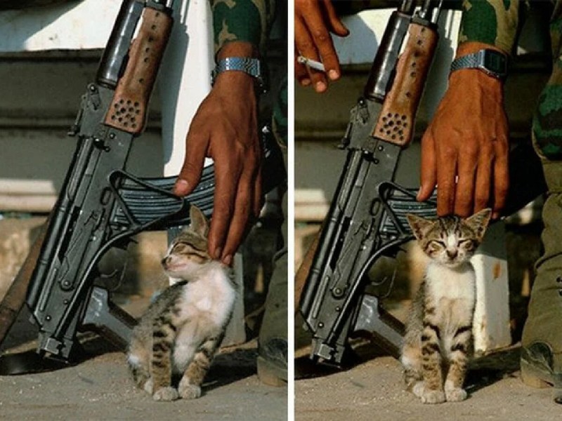 Военный с котенком