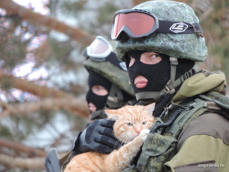 Вежливые люди с котом