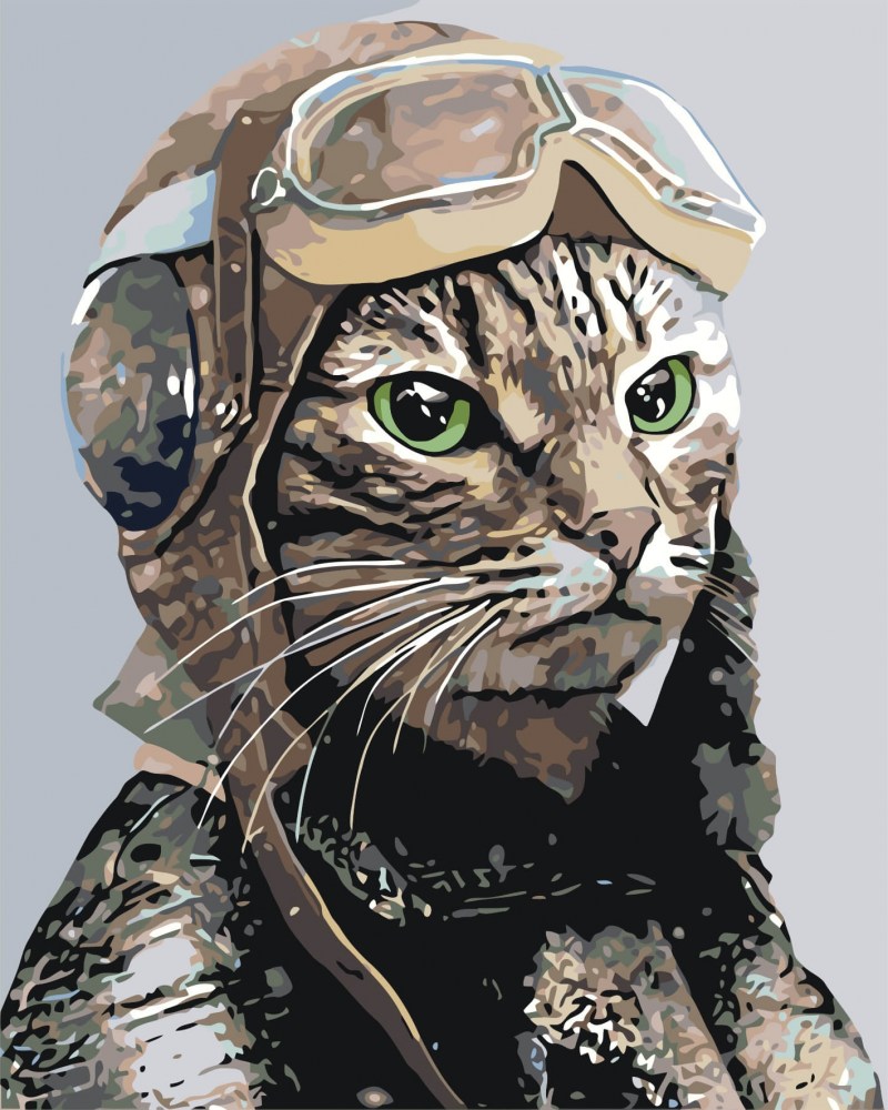 Алмазная мозаика кот летчик