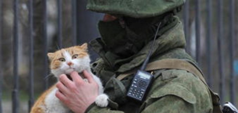 Солдат с котом в Крыму