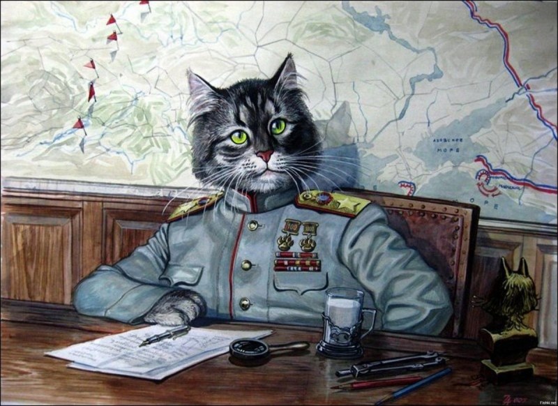 Александр Завалий эпические коты