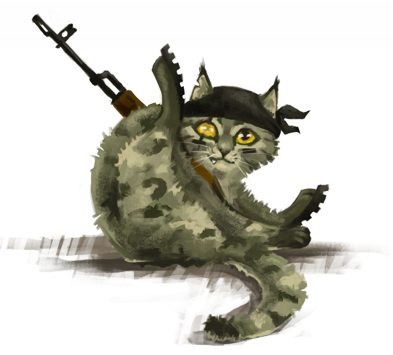 Вооруженный кот