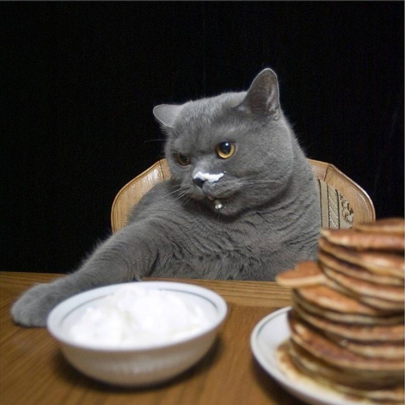 Котенок в тазике