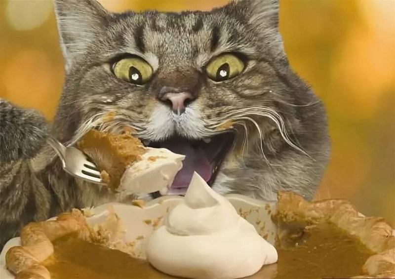 Торт с «кошками»