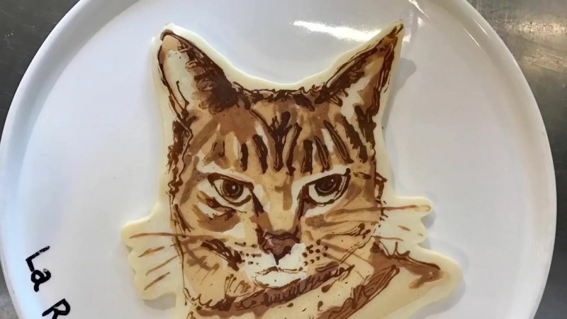 Кот хочет завтракать