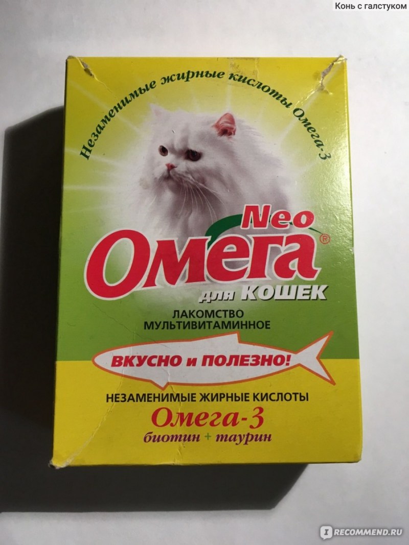 Котики вкусняшки