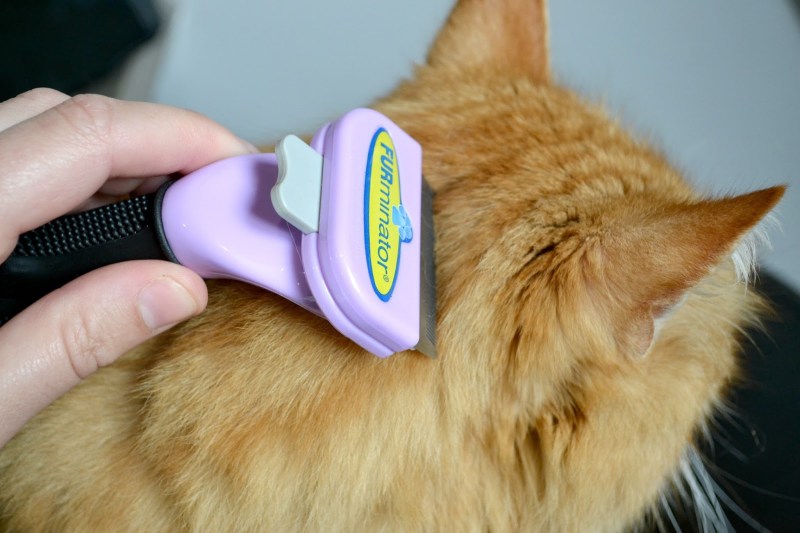 Фурминатор для животных Fobnimarut de shedding