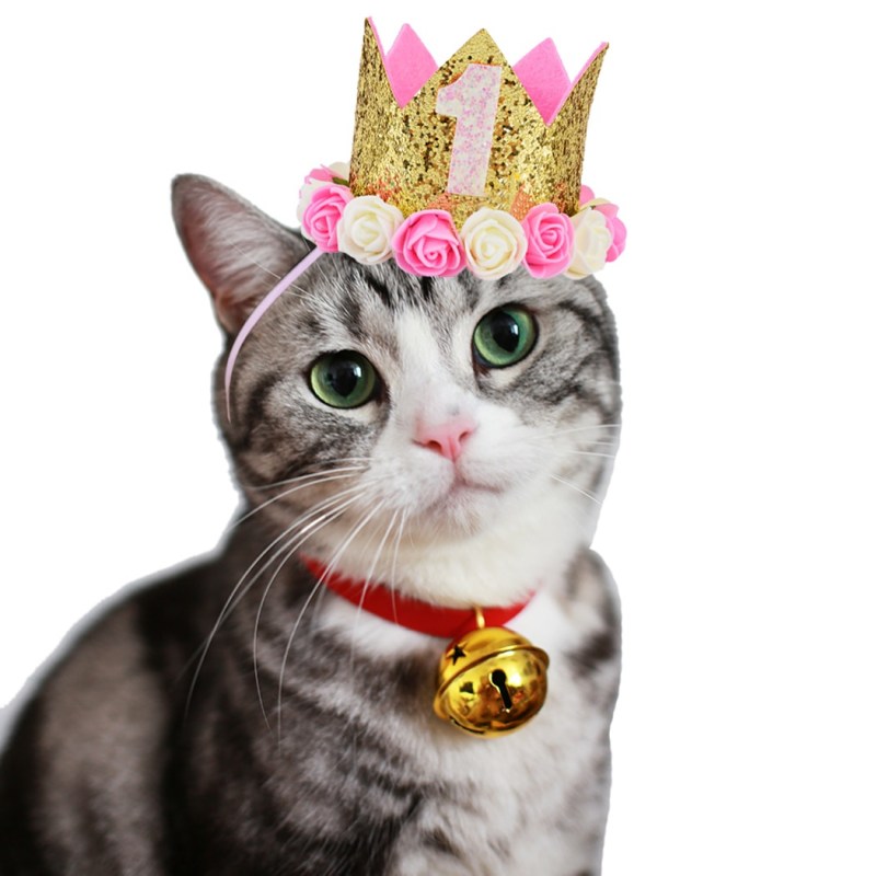 Котенок с короной