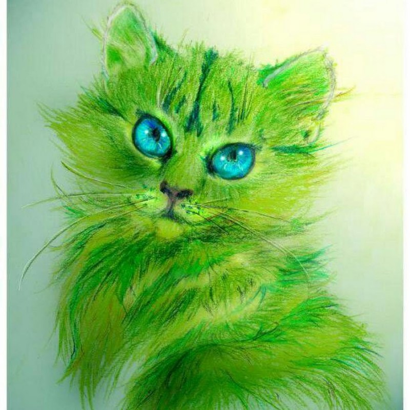 Изумрудная кошка