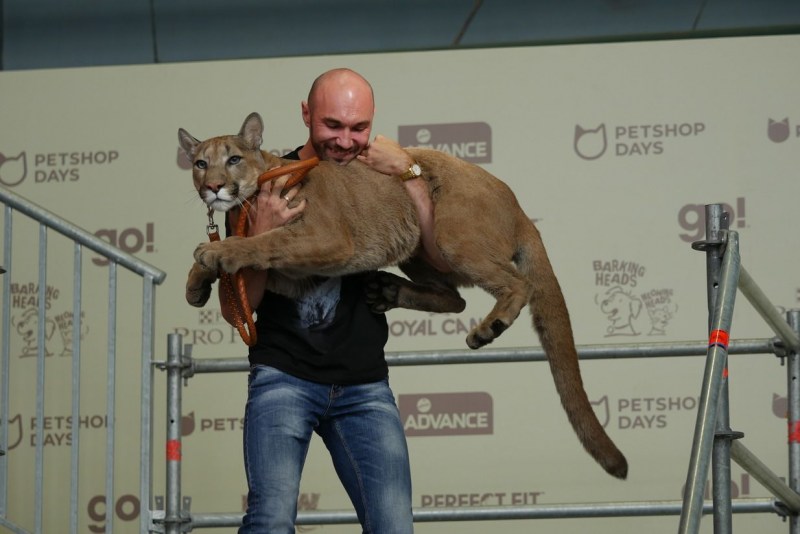 Александр Дмитриев Пума