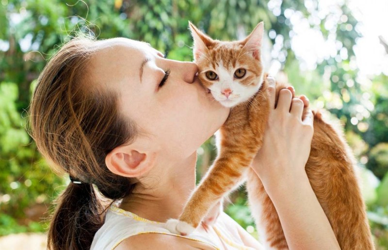 Кот ластится к хозяйке