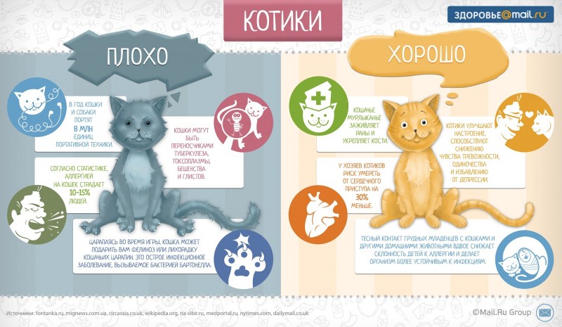 Инфографика про животных