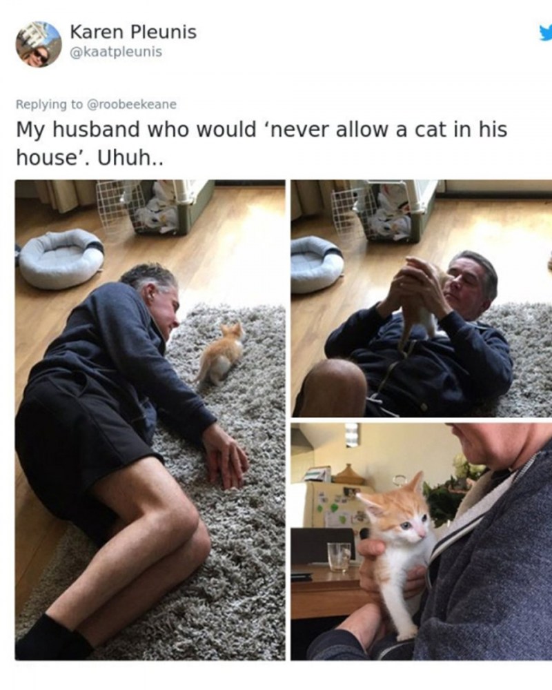 Женщина с кучей кошек