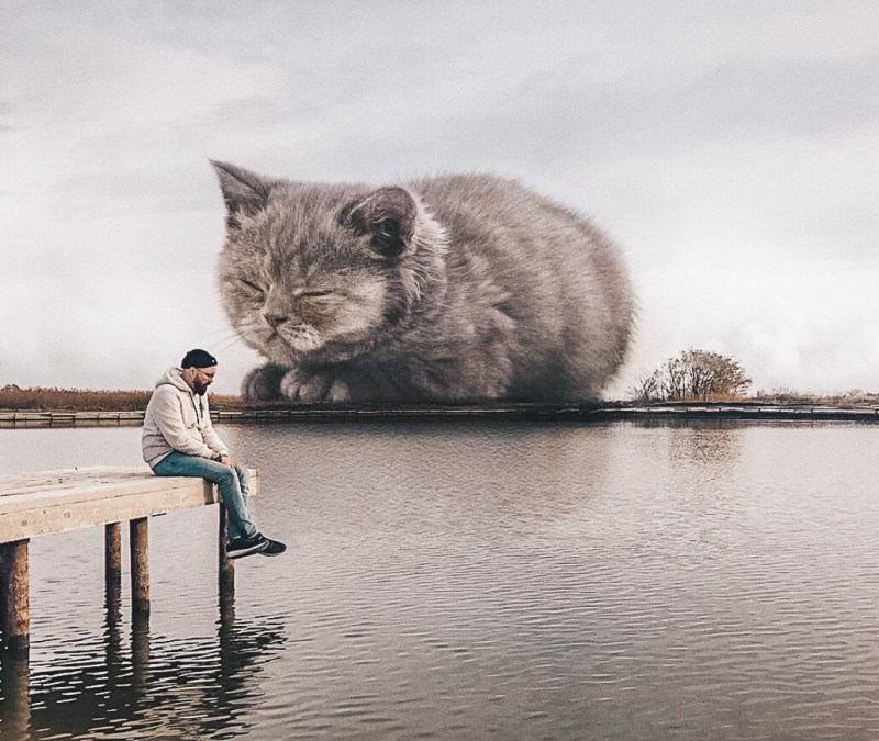 Андрей Щербак художник коты
