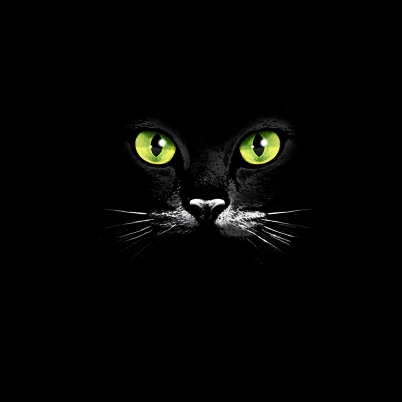 Кошачьи глаза в темноте