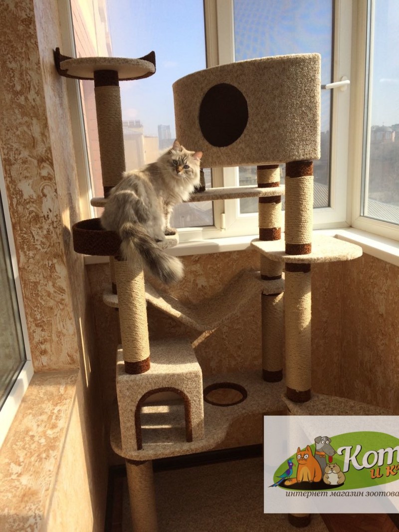 Игровой комплекс ct17 для кошек, 650*570*1240мм