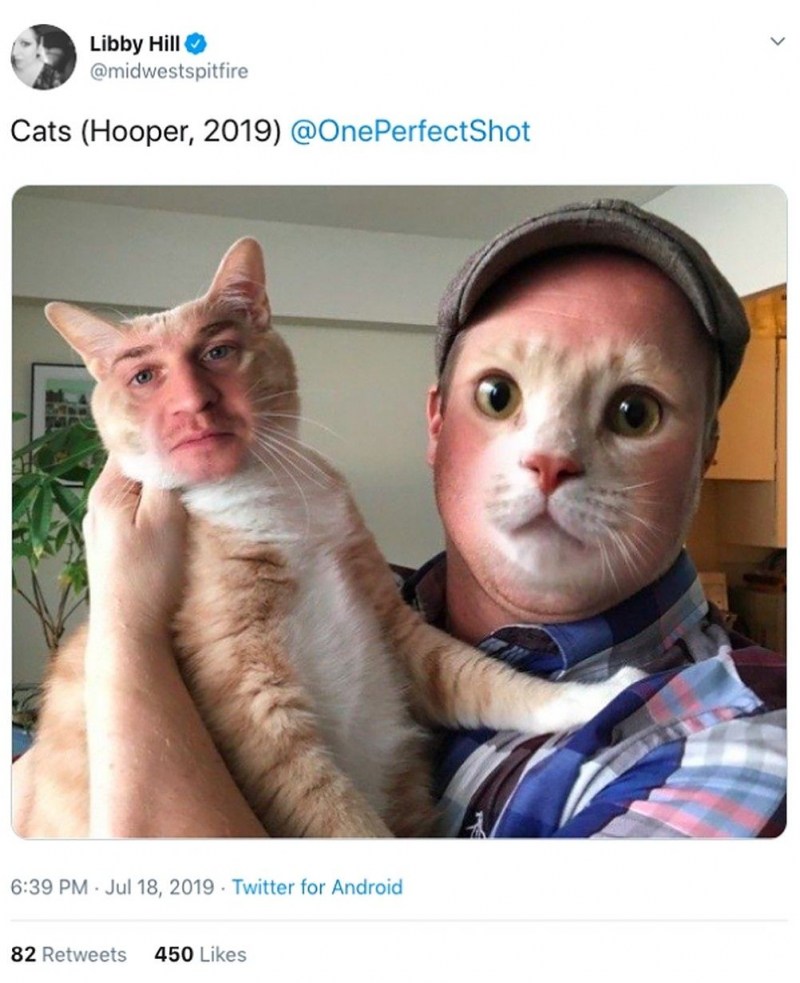 Кошка с лицом человека