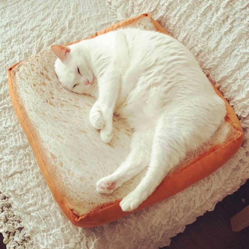 Кошка лежит на подушке