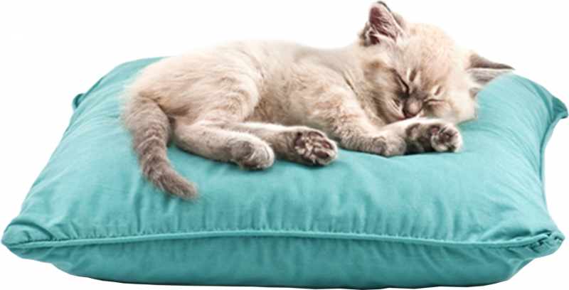 Подушка "котёнок"