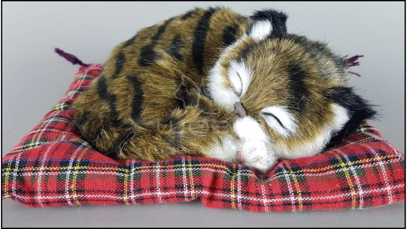 Подушка "котёнок"