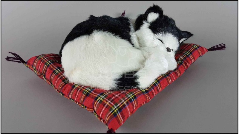 Котенок спящий на белой подушке