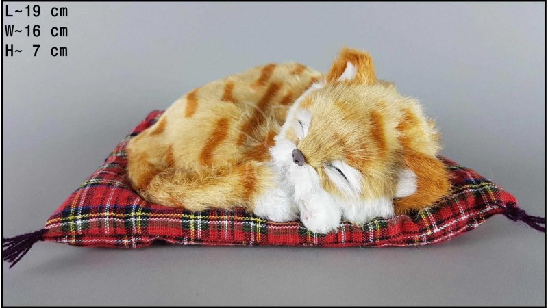 Кот спит на подушке
