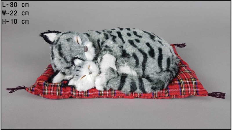 Спящий котик на подушке