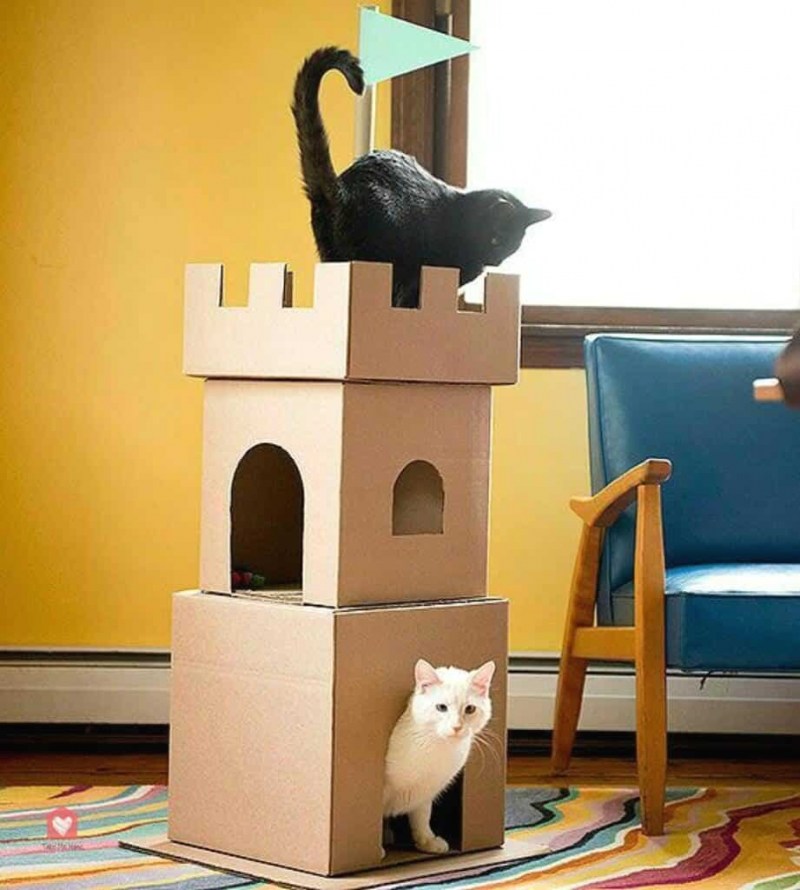 Дом коробка для кошек