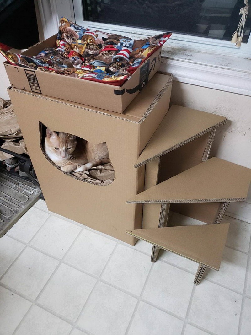 Кошачий домик из коробки и футболки