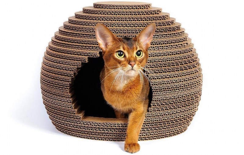 Домики для кошек из коробок