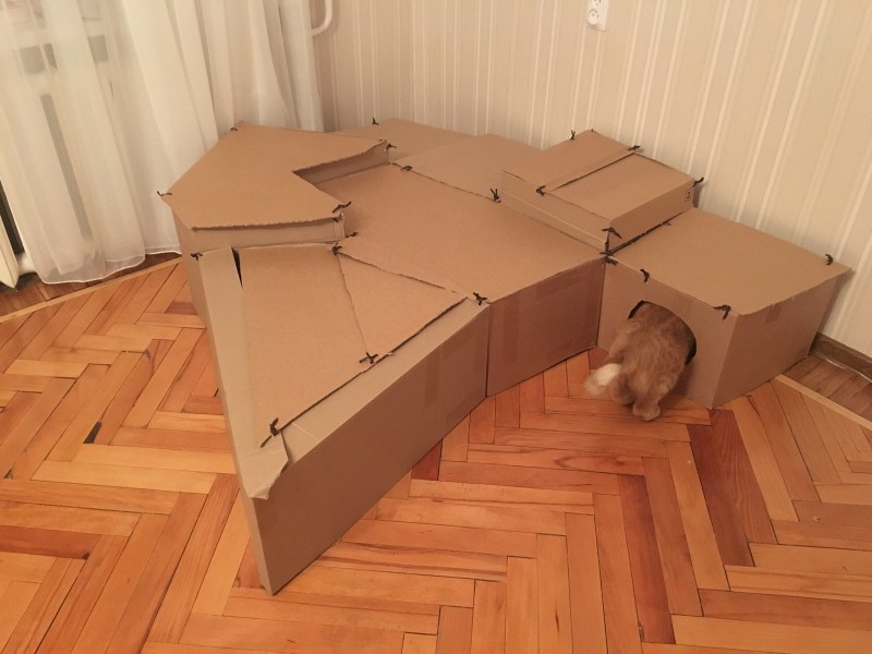 Домик для кота из картонной коробки