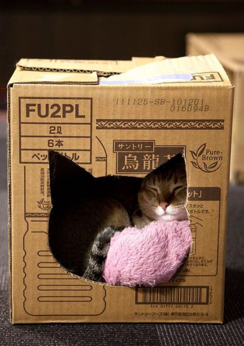 Дом для кошки из коробок
