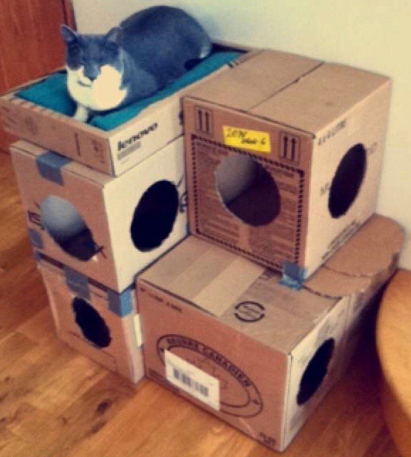 Кошкин дом из коробки