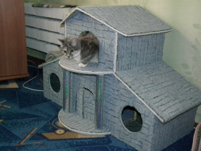 Коробка с котятами