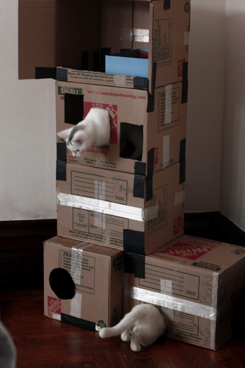 Картонный Лабиринт для кошек