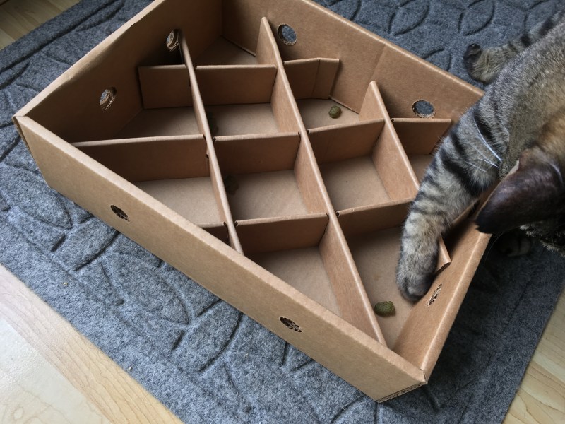 Лабиринт для кошек из коробок