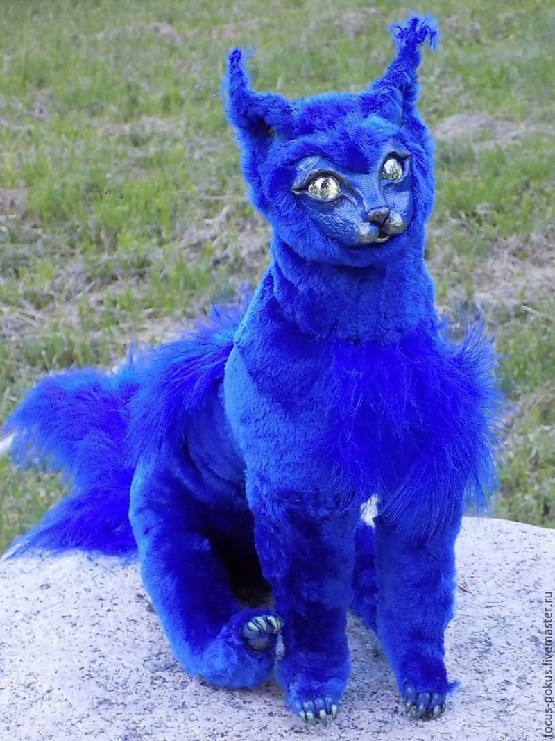 Кошка синего цвета