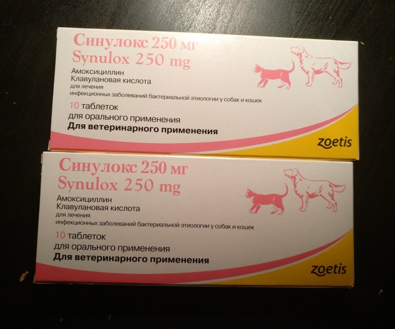 Синулокс 100 мг таблетки