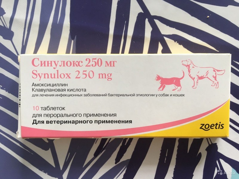 Синулокс 250 мг для кошек дозировка