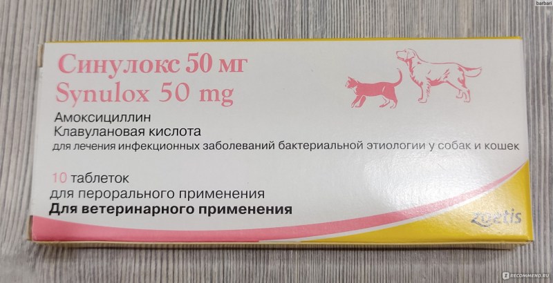 Синулокс 500 мг для собак