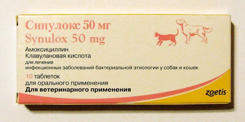 Синулокс 50 мг для собак дозировка