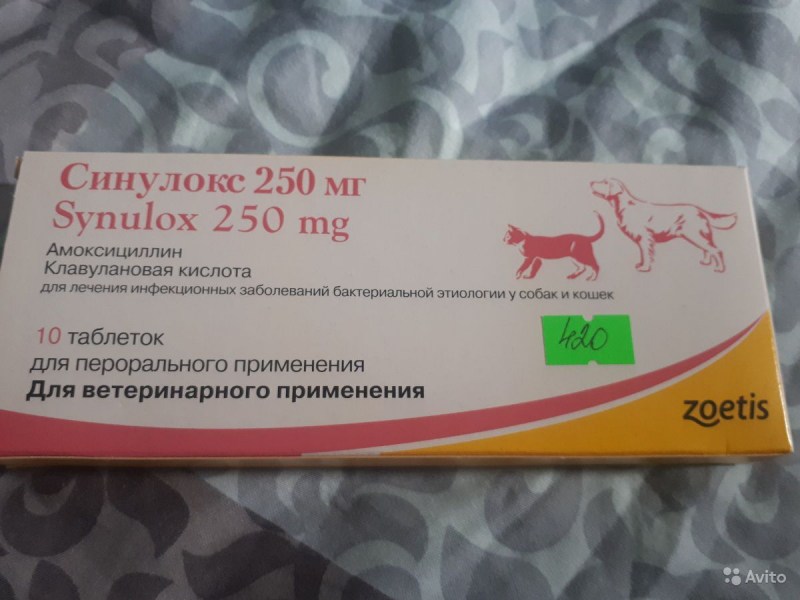 Синулокс 50 мг 10 таб.