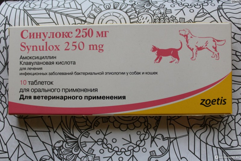 Вет антибиотик синулокс