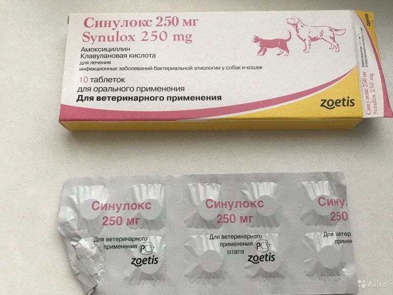 Лекарство синулокс для собак таблетки