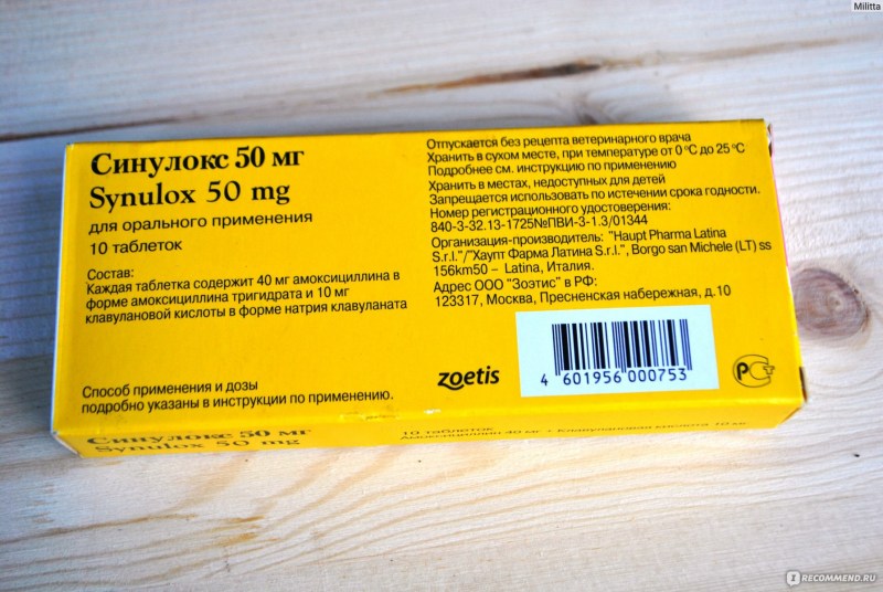 Синулокс 250 мг 10т/уп
