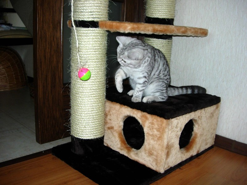 Кошкин домик
